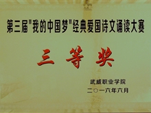 第三屆“我的中國(guó)夢(mèng)”經(jīng)典愛國(guó)詩文誦讀大賽三等獎(jiǎng)