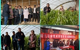 現(xiàn)代農(nóng)業(yè)技術(shù)系開展“喜迎己亥新春佳節(jié)、送科技送文化下鄉(xiāng)”主題黨日活動(dòng)